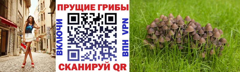Псилоцибиновые грибы мухоморы  ОМГ ОМГ ТОР  Нижняя Салда 